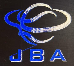 JBA Snapback Hat (9 Hat Options)